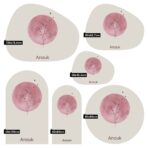 Magneetsticker - Geboortebloem - Roze - Afbeelding 3