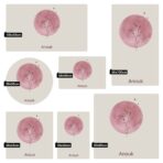 Magneetsticker - Geboortebloem - Roze - Afbeelding 4