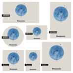 Magneetsticker - Geboortebloem - Blauw - Afbeelding 5