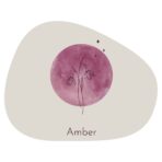 Magneetsticker - Geboortebloem - Paars